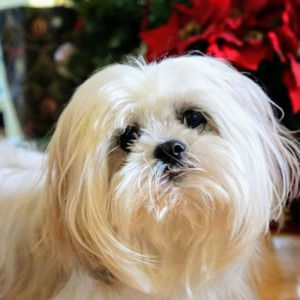 Meet your Posher, Vicky